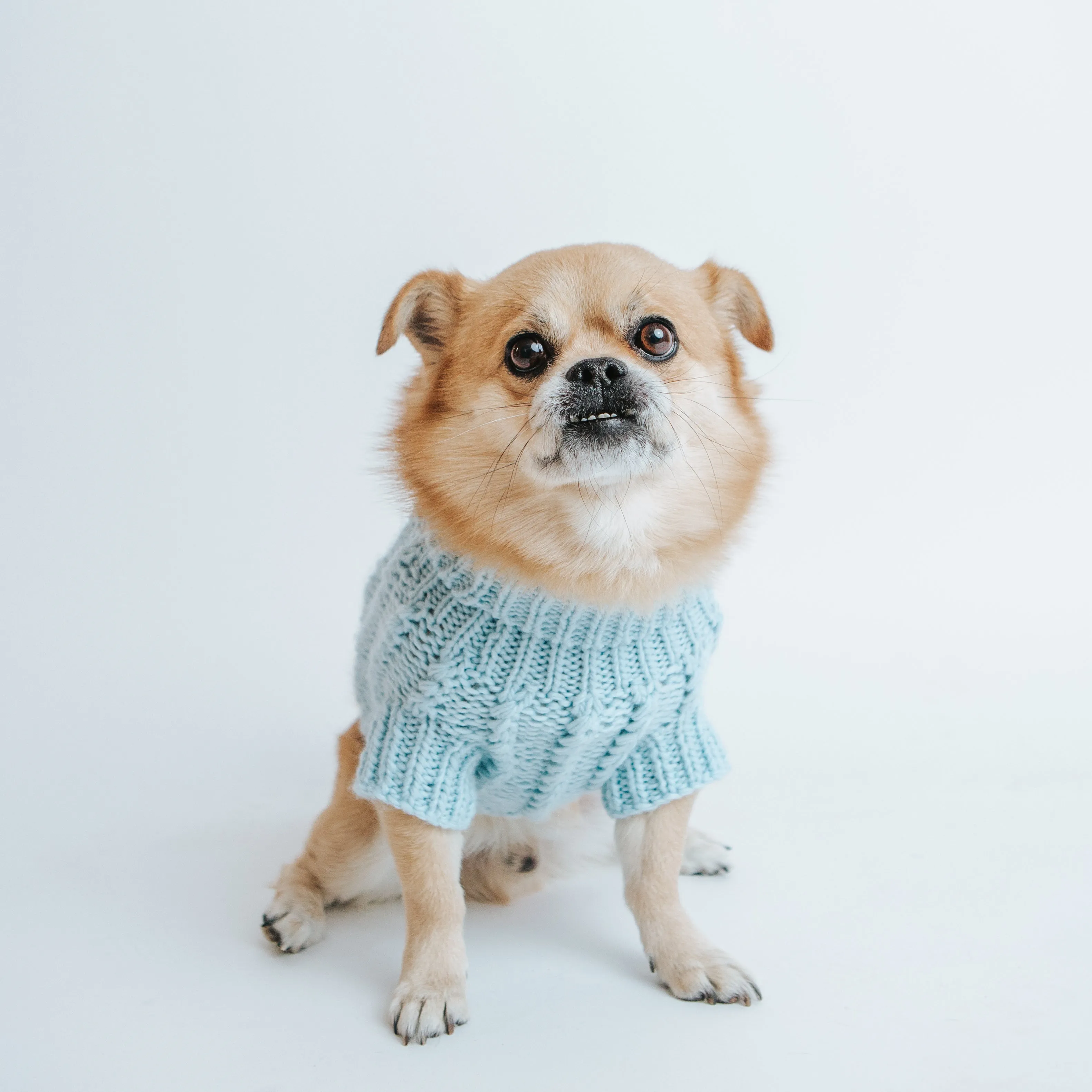 Dog Cable Knit Sweater - Light Blue