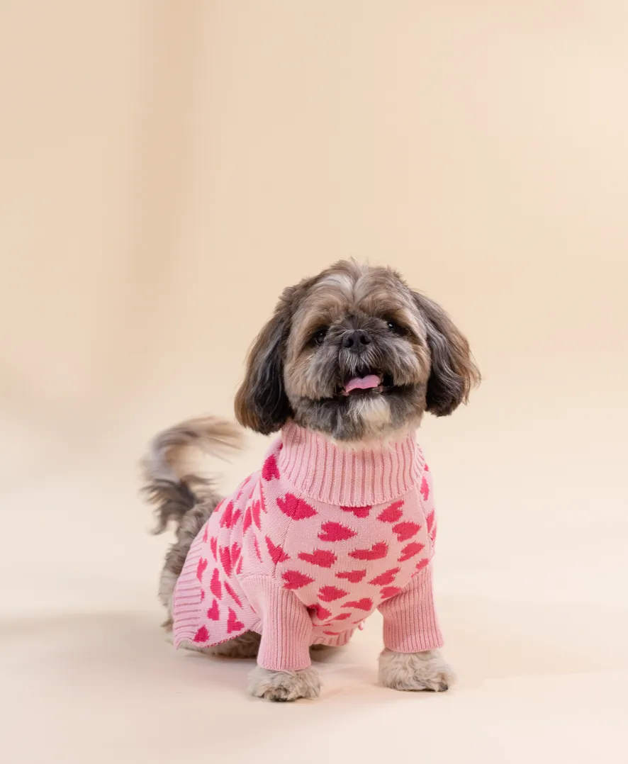 Love is in the Air - Dog Sweater