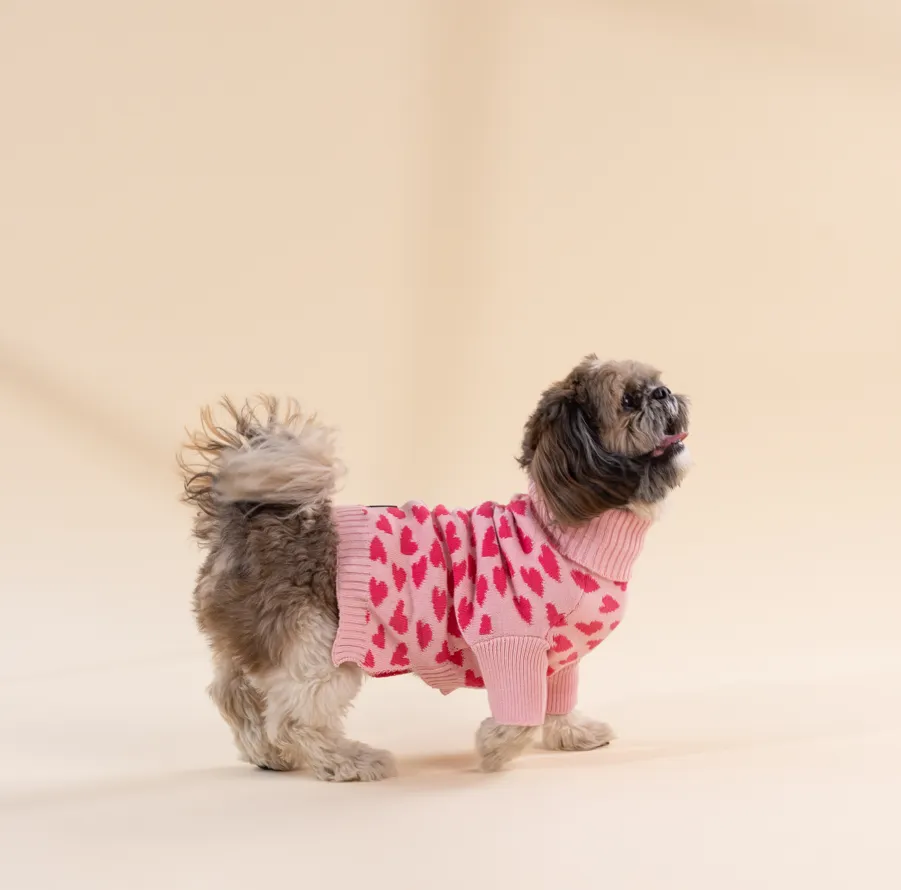 Love is in the Air - Dog Sweater