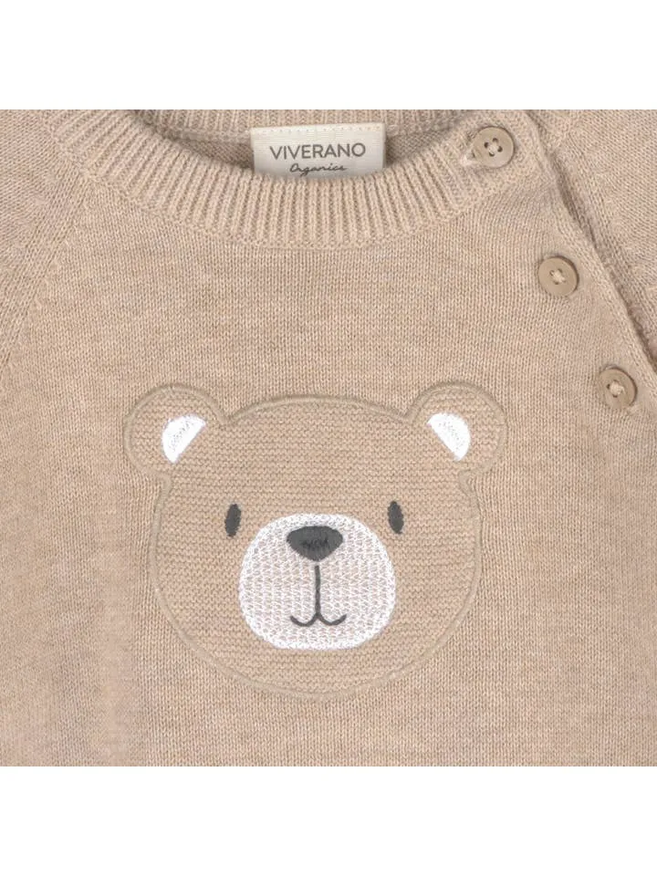 Teddy Bear Applique Raglan Baby Pullover Sweater