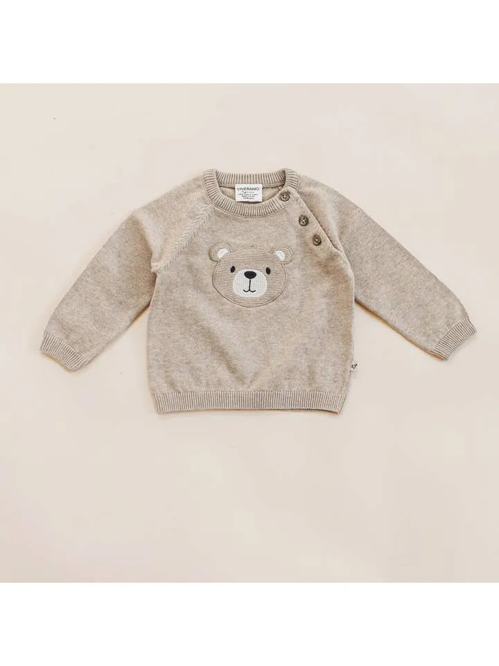 Teddy Bear Applique Raglan Baby Pullover Sweater